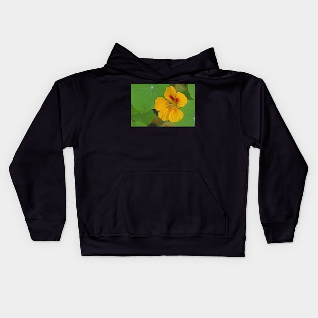 Nasturtium Kids Hoodie by EileenMcVey